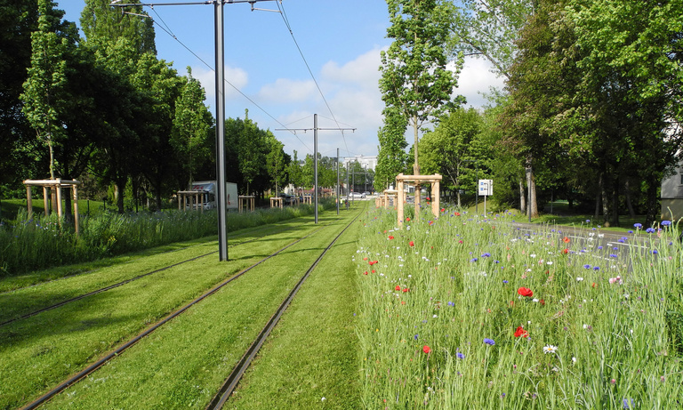 Carta – Reichen et Robert - Le tramway métamorphose Besançon
