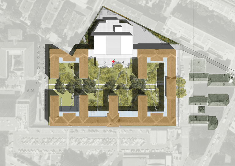 Baaum - plan-masse_300dpi.jpg