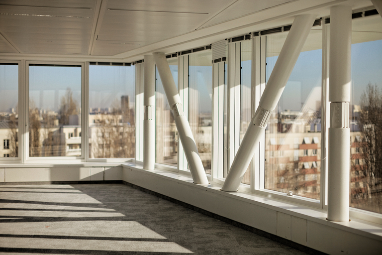 Baaum - ELIS_110d_Thierry Lewenberg-Sturm.jpg