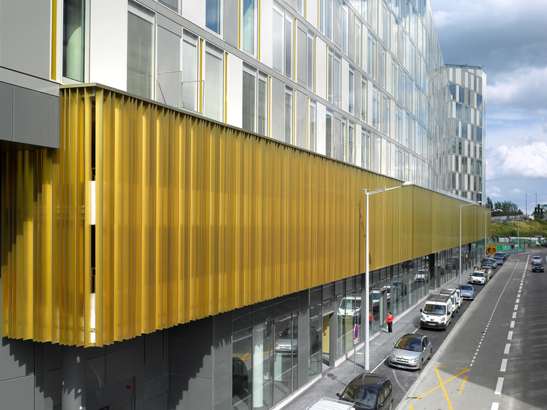 Baaum - 835LIL_YG_3659-014.jpg