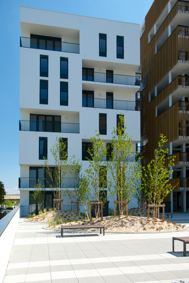 Carta – Reichen et Robert - IMGP1988∏ Caroline_SATTLER.jpg