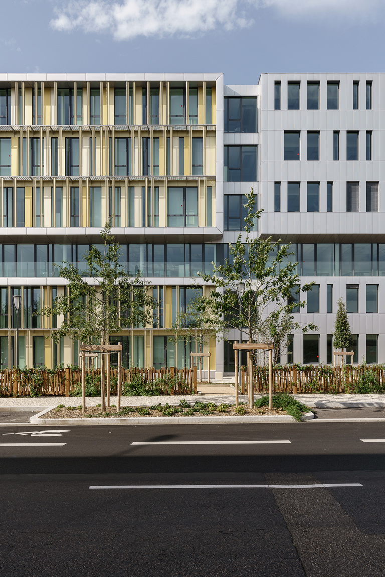 Baaum - La Grande Halle Gerland-Campus EDF-21.jpg