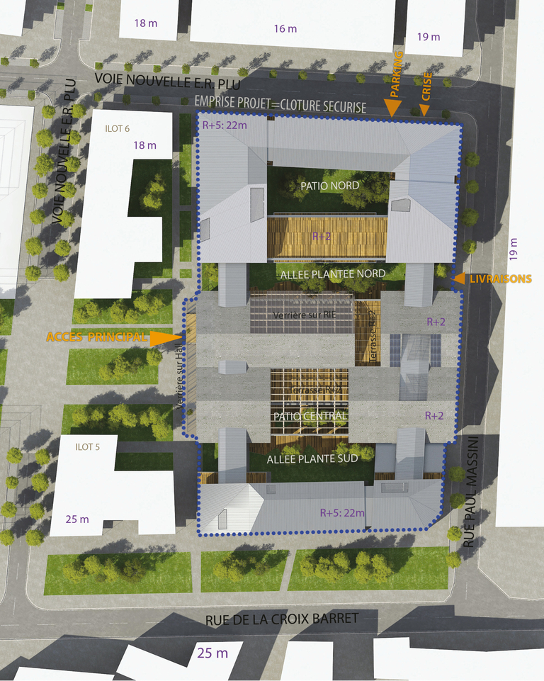 Baaum - 2014-11-04_1177HLY_Plan masse.jpg