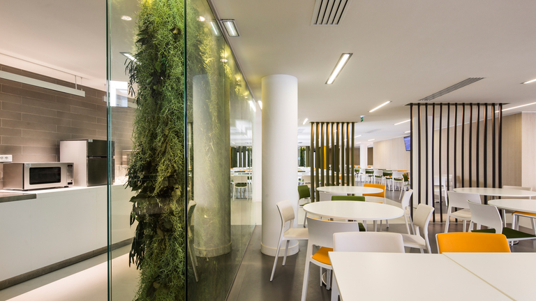 Baaum - RRA∏Luc Boegly-ORANGE-007.jpg