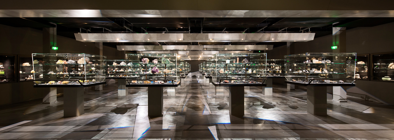 Baaum - JUSSIEU-029.jpg