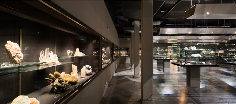 Baaum - JUSSIEU-027.jpg