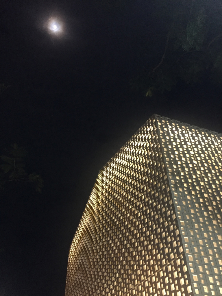 Baaum - RRA-Fondation Clement_17.jpg