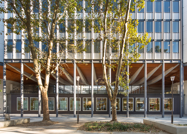 Baaum - JUSSIEU-005.jpg