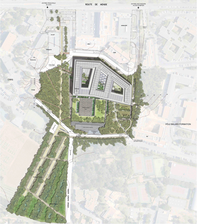 Baaum - 1244MPC-PLAN DE MASSE-500.jpg