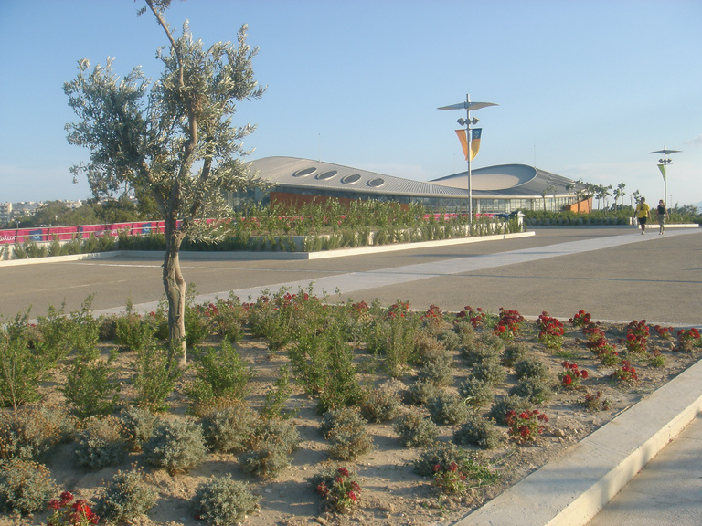 Baaum - DSC01679_∏Bernard Reichen.jpg