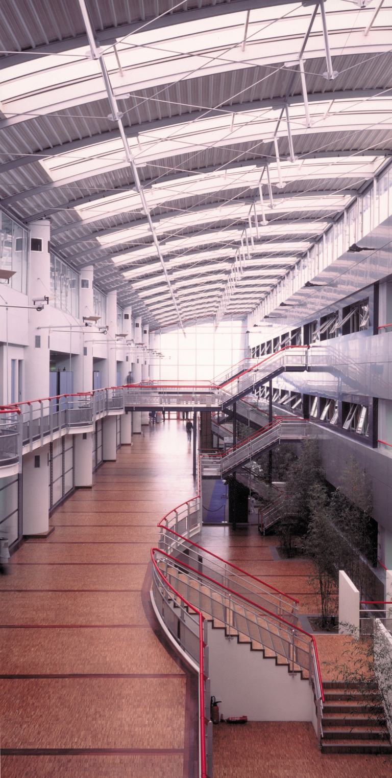 Baaum - rue inter1.jpg