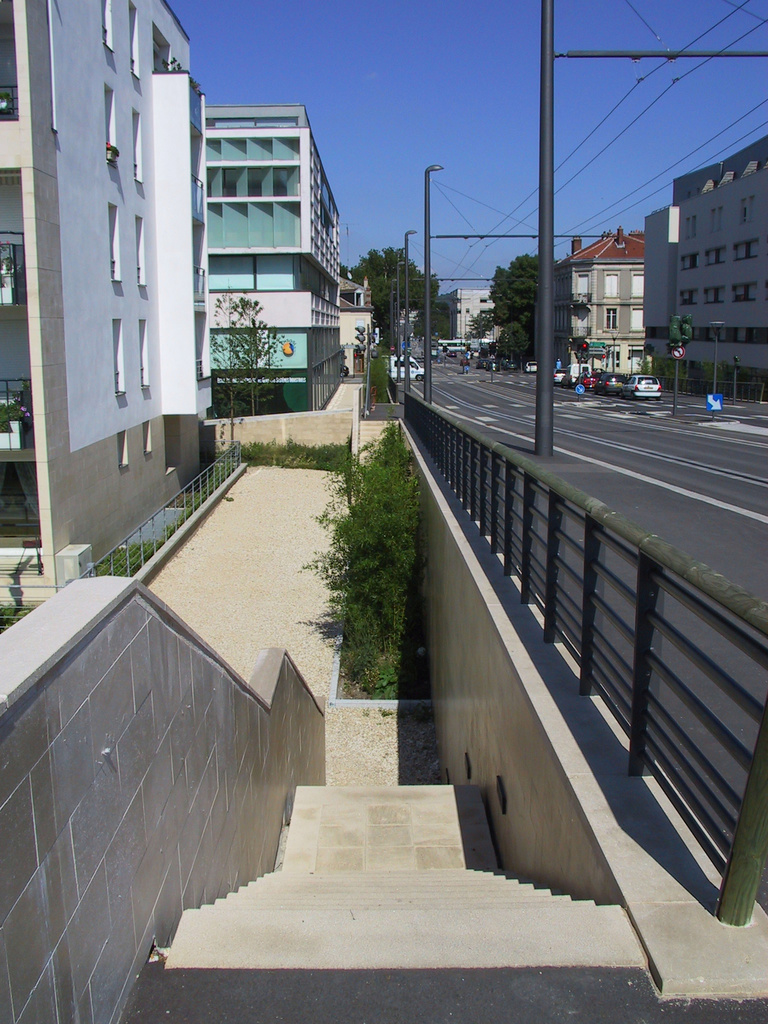 Baaum - 100-0031_IMG.jpg