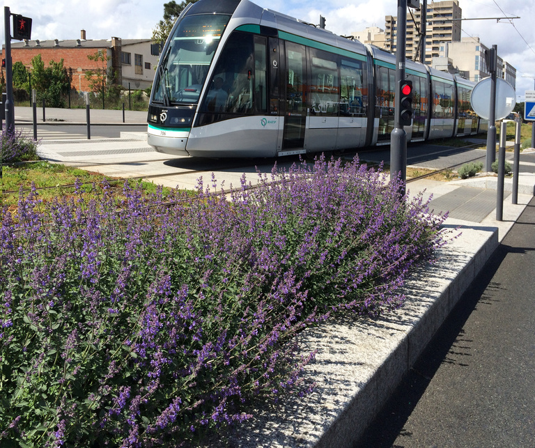 Baaum - ∏Reichen et Robert & associes_T7 037-modif.jpg