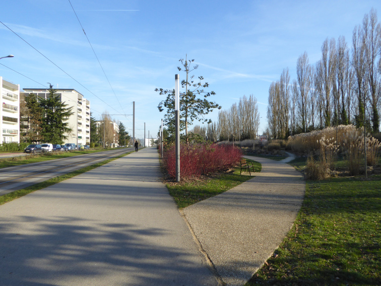 Baaum - T6-louvois-P1020680.jpg