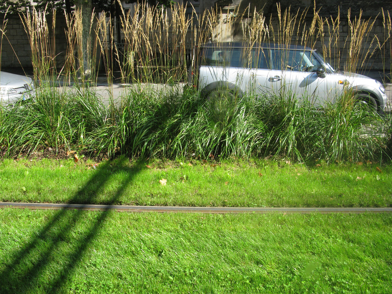 Carta – Reichen et Robert - IMG_5669.jpg