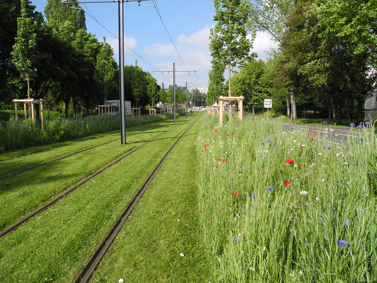 Carta – Reichen et Robert - 16 DSCN7807.jpg