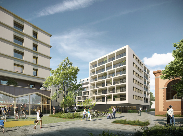 Baaum - 1651SBF_PERS_LOT_C2.jpg