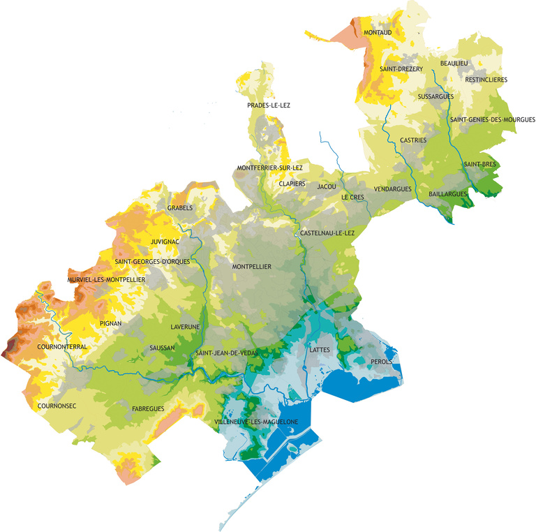 Baaum - carte - page de garde diagnostic.jpg