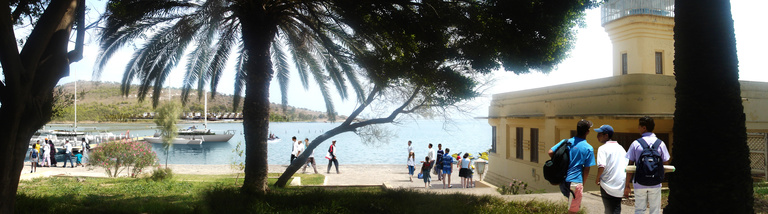 Baaum - Caraãbe lointaine 01.jpg