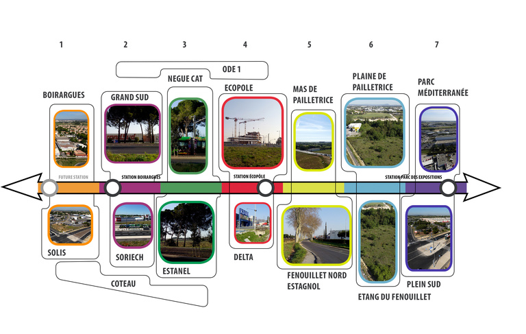 Carta – Reichen et Robert - Reichen et robert asocies-Eco cité de la Route de la mer-Montpellier-_sequence urbaine.jpg