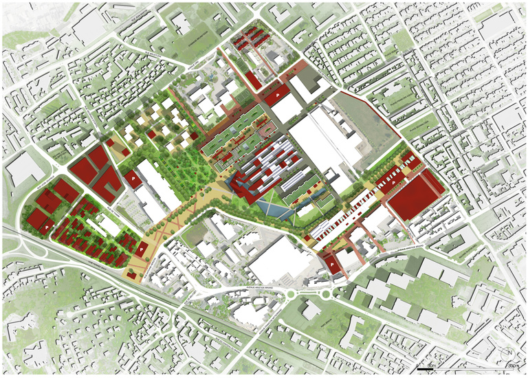 Carta – Reichen et Robert - Plan Masse-2010.jpg