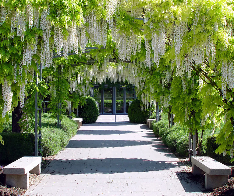 Carta – Reichen et Robert - DSC05530PSN.jpg