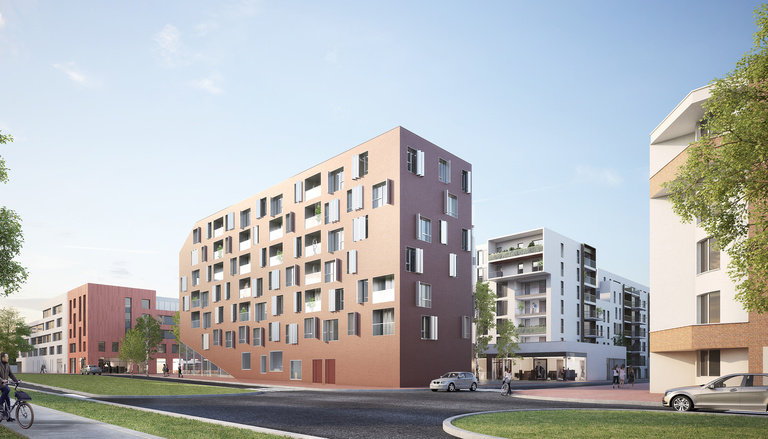 Baaum - RR_LILLE_CHIANI_C03_G.jpg