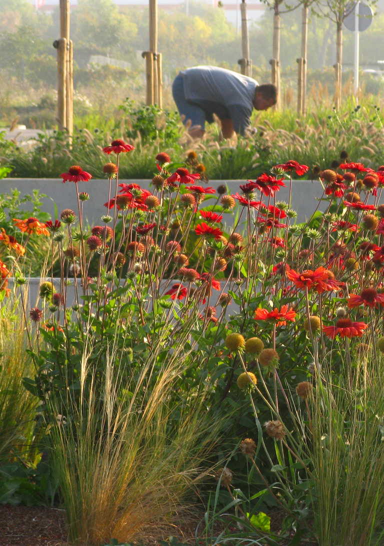 Carta – Reichen et Robert - RRA_Grand Projet de Ville_Metz-Borny_10-ATFP.JPG