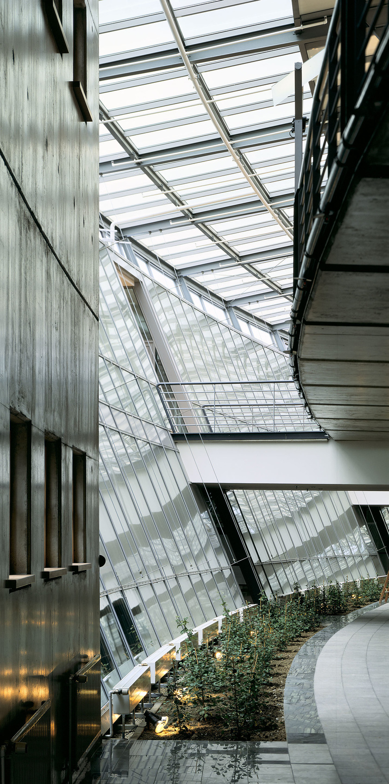 Baaum - RRA_NICOLAS BOREL_OBERHAUSEN_ALLEMAGNE_VUE DE LA FAILLE_017.jpg