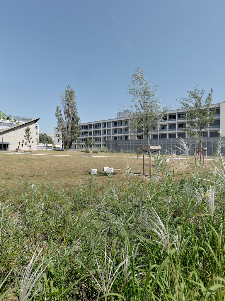 Baaum - 2-LaDoua-08-21-5000px-PRINT-copyright-philippe-roguet-0273.jpg