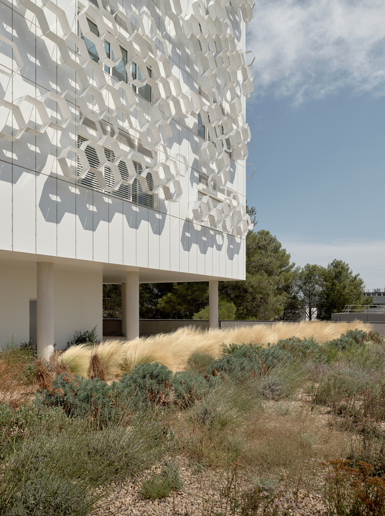 Carta – Reichen et Robert - CNRS-07-21-2000px-WEB-copyright-philippe-roguet-1362.jpg