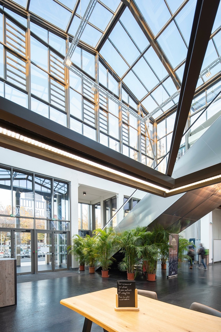 Baaum - XB-Carta_Reichen_Robert-2021_11-Dax-42.jpg