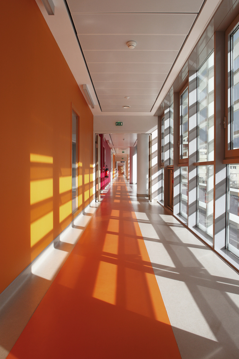 Baaum - Photo S Demailly7699.jpg