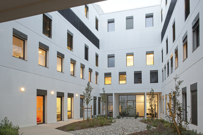 Baaum - ┬® S.Demailly33.jpg