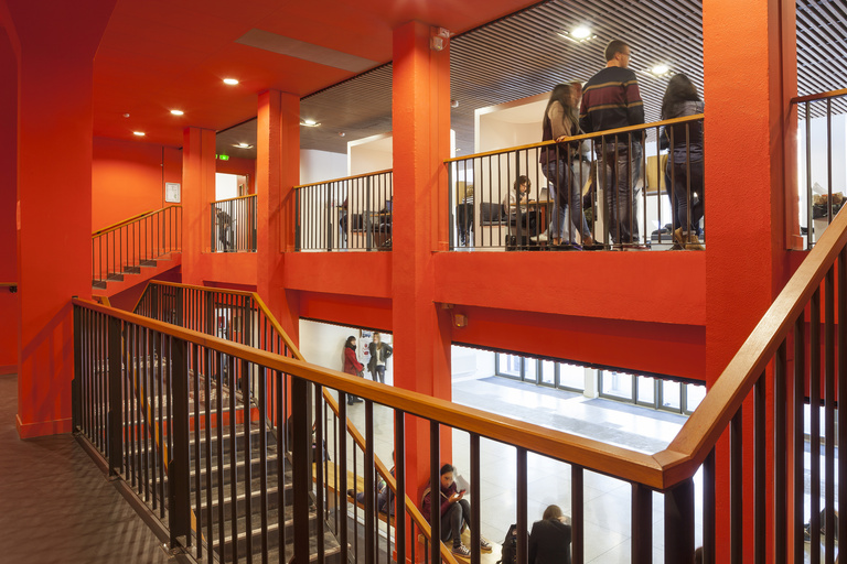 Baaum - © S.Demailly34.jpg