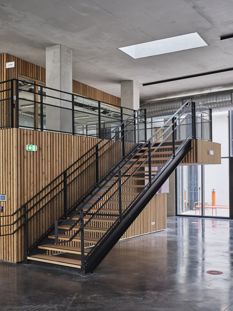 Baaum - 11-archi_carta_colbert__DSF3456 copie.jpg