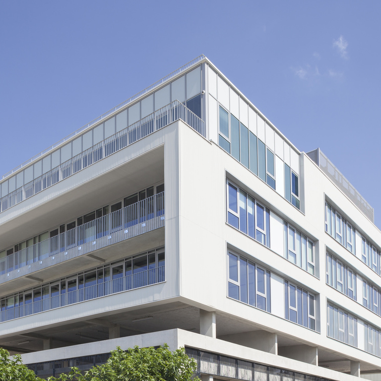 Baaum - © S.Demailly14.jpg