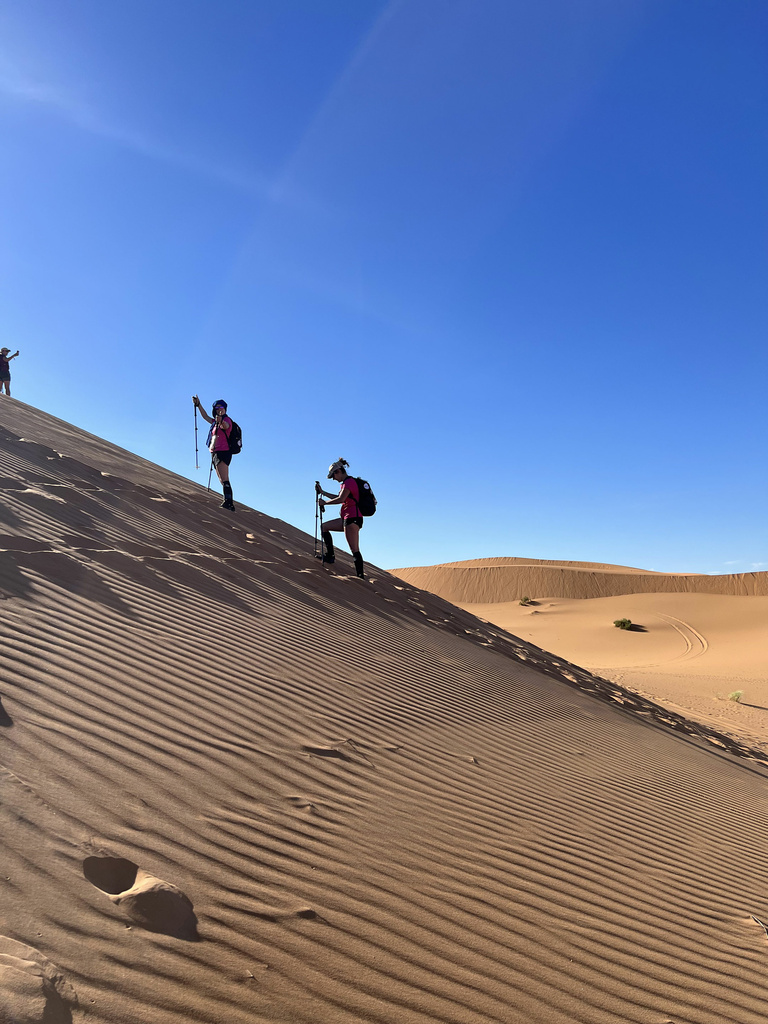 Baaum - IMG_4703.jpg