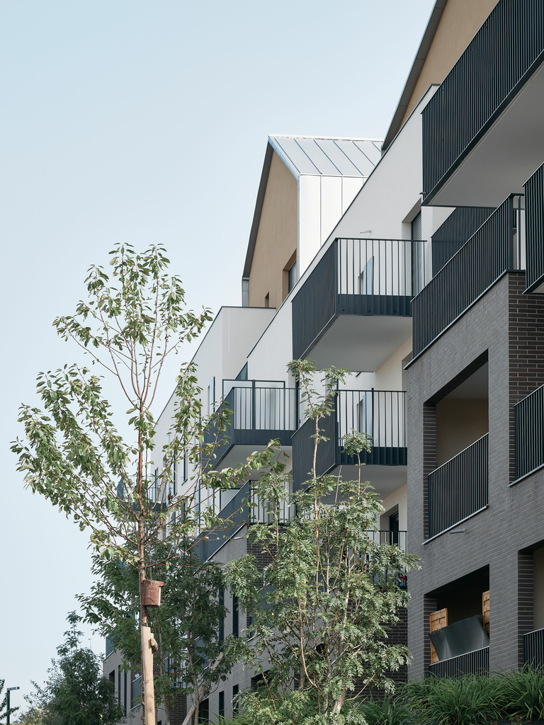 Carta – Reichen et Robert - E1_Detail_CARRA_Linkcity_Mathurins_Bagneux_Epaillard-Machado_05.jpg