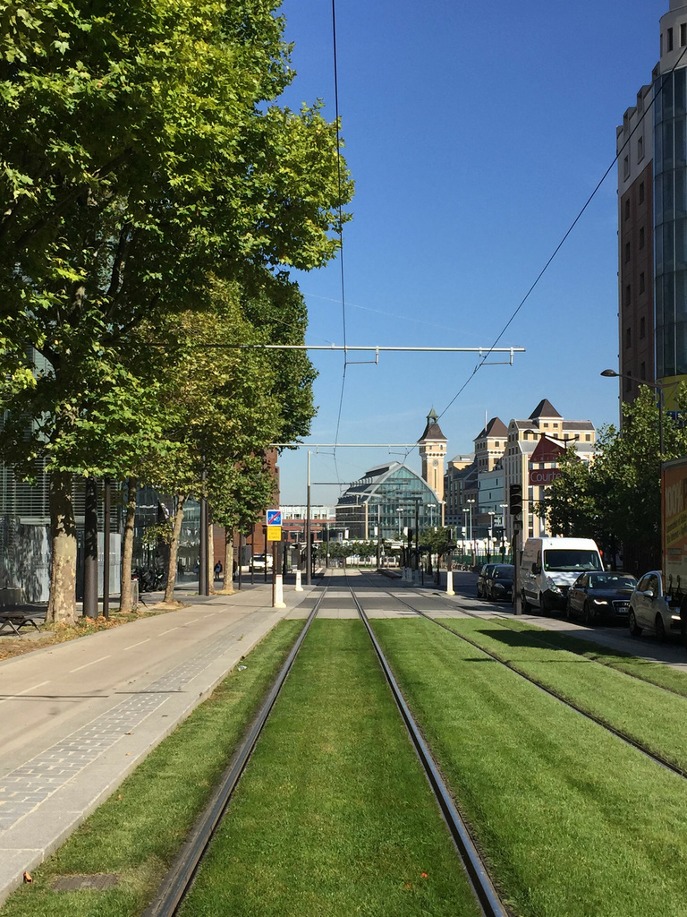 Baaum - 08-1-4154.jpg