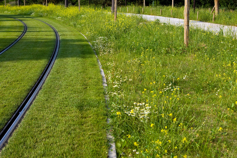 Carta – Reichen et Robert - 22-IMGP5738_Bvd-D'Algérie_DETAILS©caroline_sattler.jpg