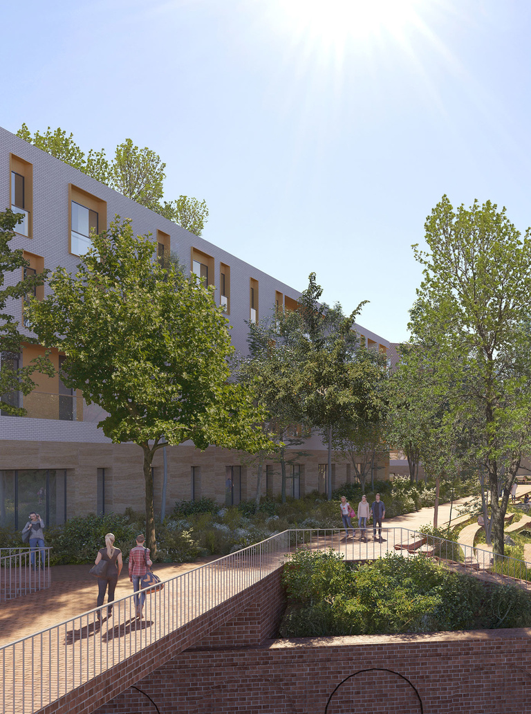 Baaum - image_3413_image_fr.jpg