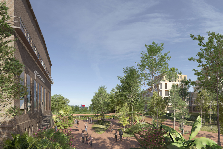 Carta – Reichen et Robert - image_3420_image_fr.jpg