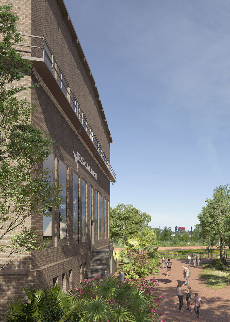 Baaum - image_34201_image_fr.jpg