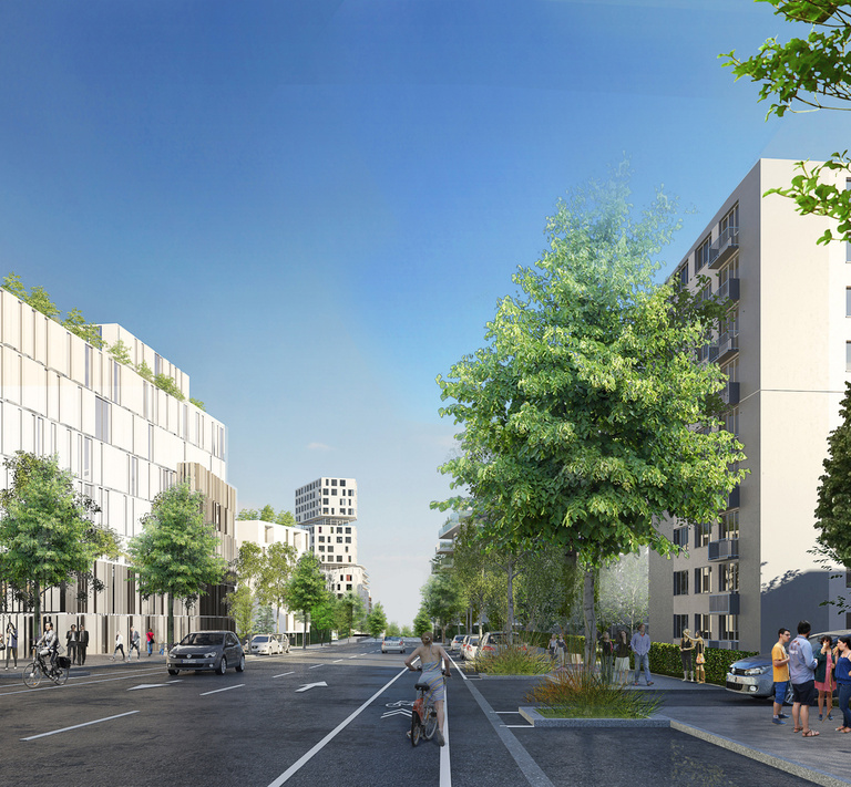 Baaum - N-IMG-2054_image_fr.jpg