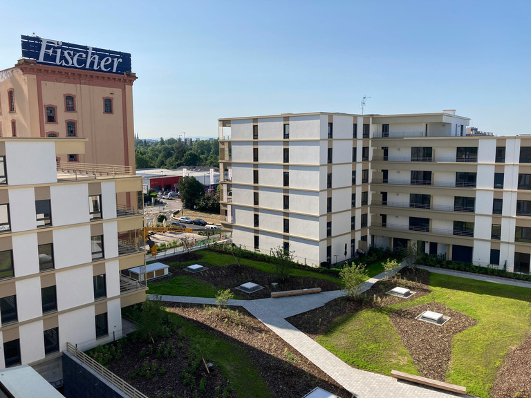 Carta – Reichen et Robert - IMG_2037_web.jpg