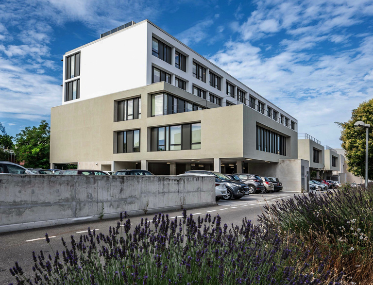 Baaum - Image-07-09-2021-à-19_web.jpg