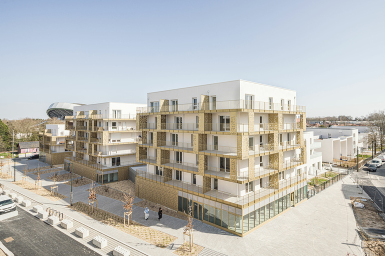 Carta – Reichen et Robert - CARRA_17081LNI_H0A1751@G-web.jpg