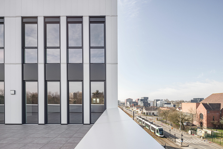 Baaum - CARRA_18082BNI_H0A0915@G-web.jpg