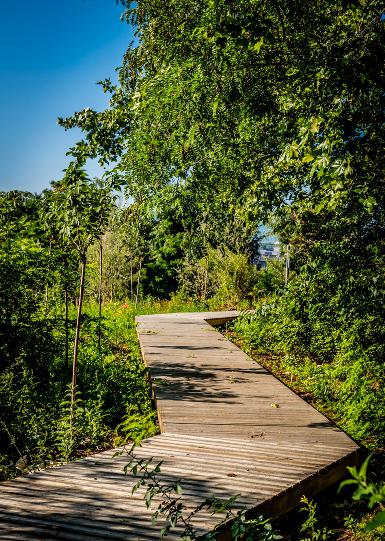 Carta – Reichen et Robert - PARC©SPL-Clermont-Auvergne_IMG_9994_web.jpg